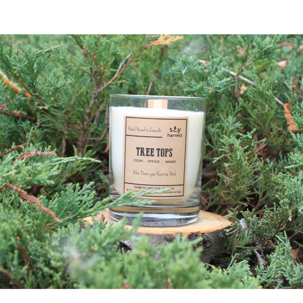 timberflame soy candle - tree tops