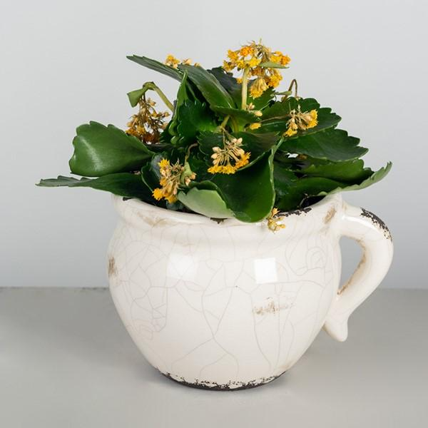 cracked glaze ceramic flower pot