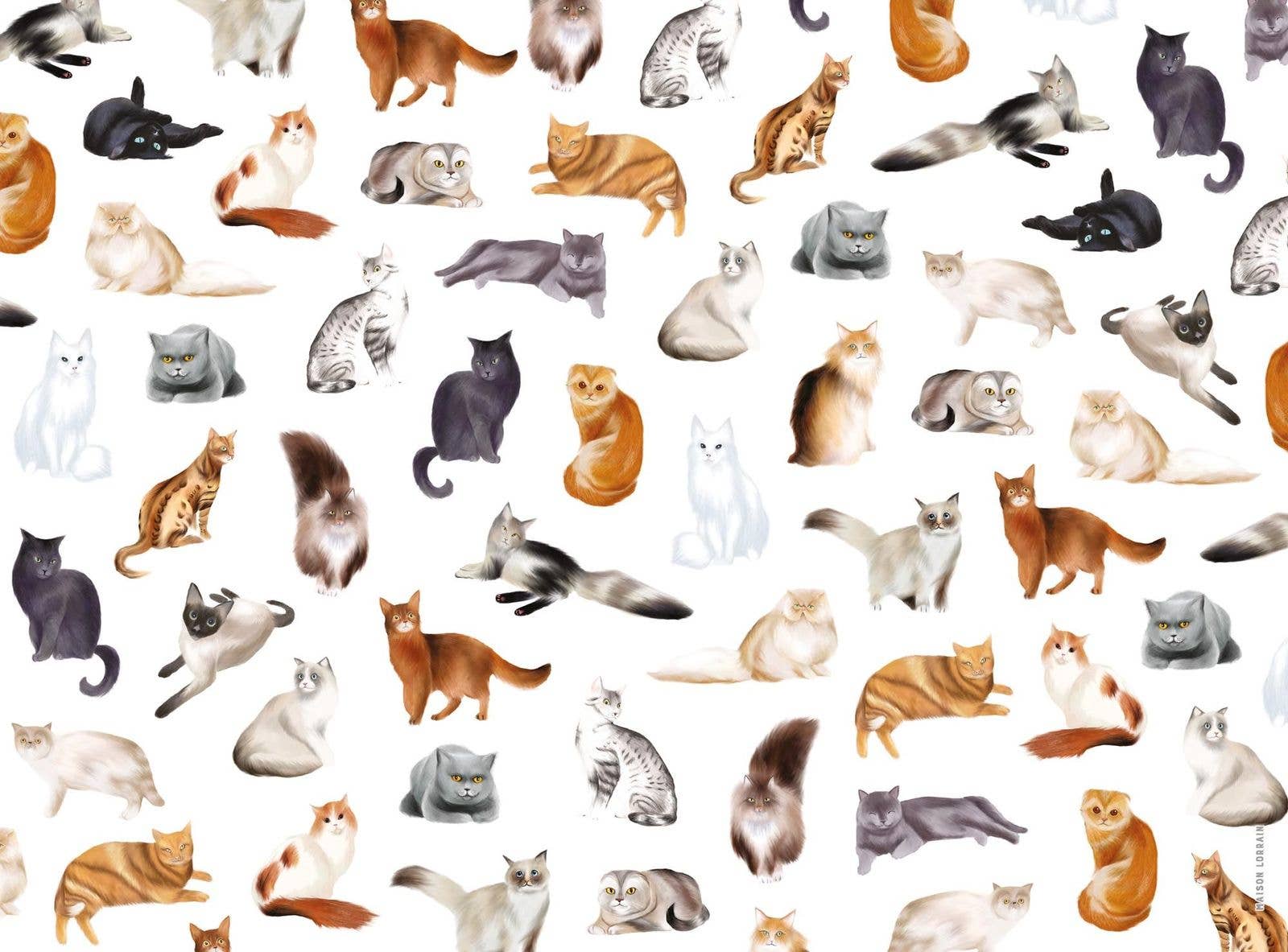 napperon de vinyle - chats / cats